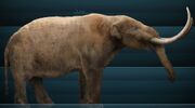 Mammut0americanum-Mastodon1