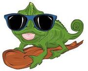 Chameleonwithshades