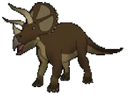 Triceratops