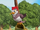 100 ARCE WOOD WOODPECKERS = LUCA