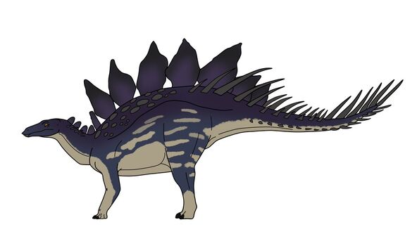 Atercurisaurus001
