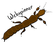 Webspinner1