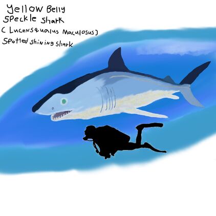 Specklesharkopath1