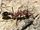 Bull Ants, ole!-wild kratts