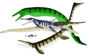 Carnegie sea reptiles