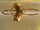 Backswimmer style swims-Wild Kratts bug adventures