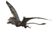 Dimorphodonjw
