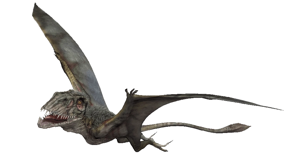 Dimorphodon Jurassic World Revival New Ideas By Matt Weaver Wiki Fandom 