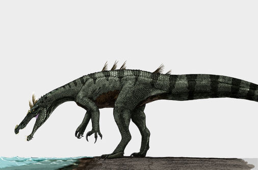 Ambulaqausaurus1