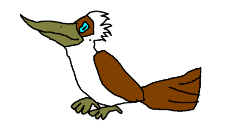 64 zoo lane-kelvinthekookaburra1