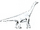 Amygdalodon