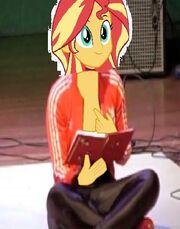 Sunset shimmer-hoofer8diary.JPG