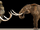 A Mammoth task-Jurassic kratts