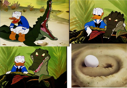 Dfoy croc-01.JPG