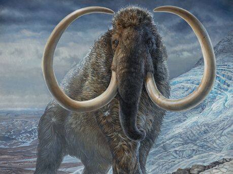 Mammoth painting havens web