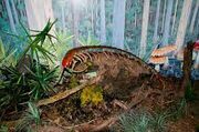 Giantcentipede1