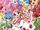 Jewelpet Kira Deco