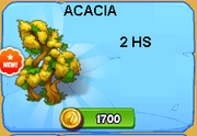 ACACIA