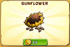 Sunflower2020.PNG