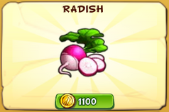 Radish2020.PNG