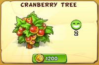 CranberryTree2020