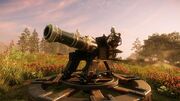 Cannon Platform.jpg