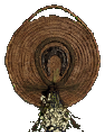 Minor Loot Luck Trophy New World Wiki Fandom