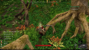 PlayerSkinning.png