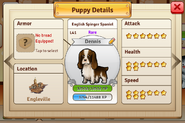 English Spinger Spaniel profile