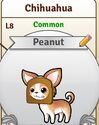 StarterPuppy.jpg