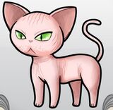 SphynxPink