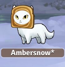 Ambersnow as of now!