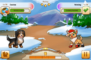 Bernese Mountain Dog versus feral Reindog in Froslandica