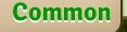 Common Banner.jpg