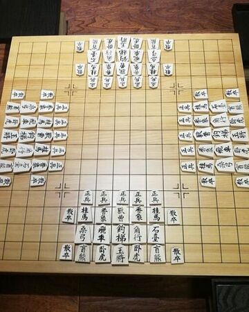 箱入将棋 新棋吧wiki Fandom 箱入将棋 新棋吧wiki Fandom