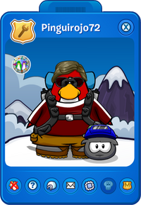 Discord Pin, New Club Penguin Wiki