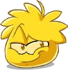 Puffle | Club Penguin Wiki | Fandom