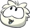 Puffle | Club Penguin Wiki | Fandom
