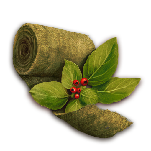 Bandage Cure.png