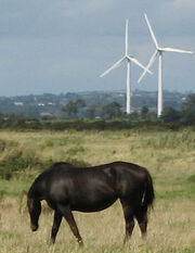 Wind-turbines-with-horse