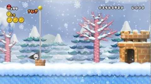 Newer Super Mario Bros Wii World 5-5 Snowfall Peak Star Coins & Secret Exit