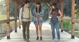 Single and Sufficient