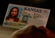 May's driver's license