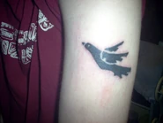 Tatoobedn.jpg (24 KB) Bedn's tattoo of the post-hardcore band Thursday's dove emblem.