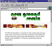 Newgrounds 1995