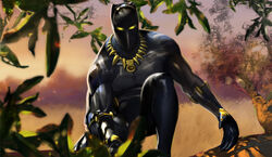 Black Panther (Storm).jpg