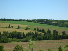 Ralston Countryside