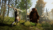 Tame the Wilderness Bear Fight