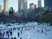 Family-vacations-central-park.jpg