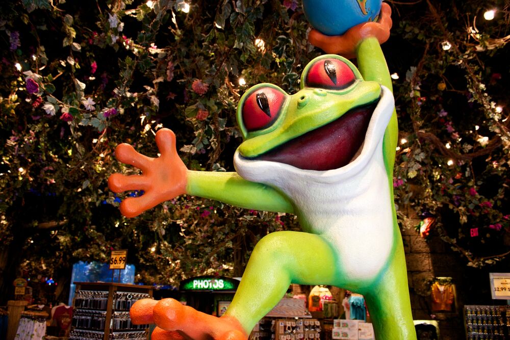 Cha Cha The Red Eyed Tree Frog Nexus Crossovers Wiki Fandom